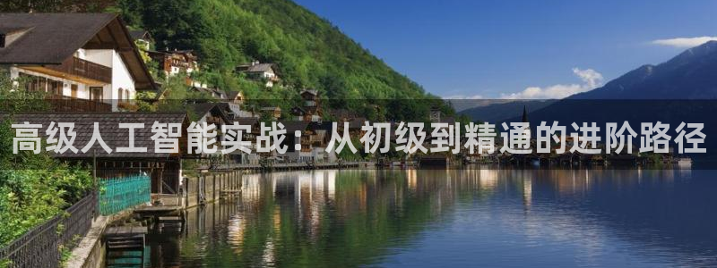 高级人工智能实战：从初级到精通的进阶路径