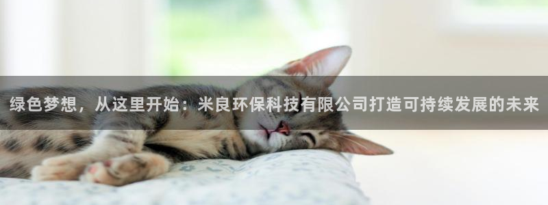绿色梦想，从这里开始：米良环保科技有限公司打造可持续发展的未来