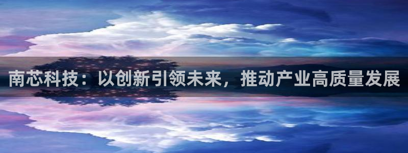 南芯科技：以创新引领未来，推动产业高质量发展