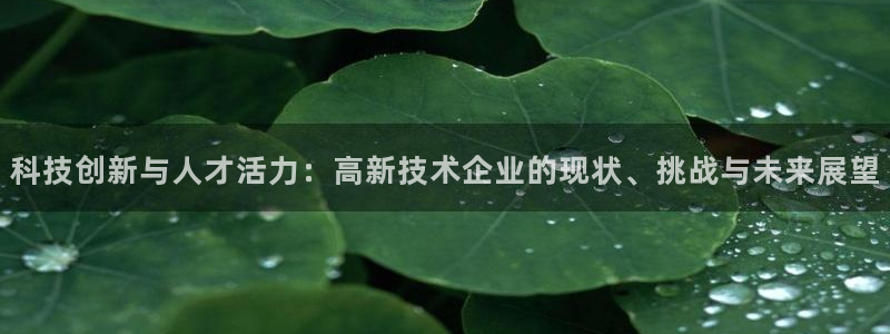 科技创新与人才活力：高新技术企业的现状、挑战与未来展望