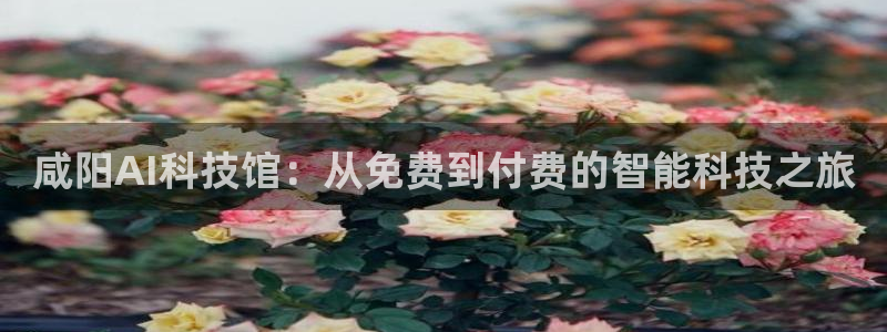 咸阳AI科技馆：从免费到付费的智能科技之旅
