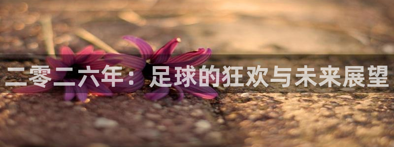 二零二六年：足球的狂欢与未来展望