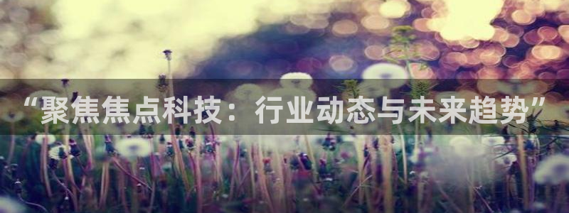 “聚焦焦点科技：行业动态与未来趋势”