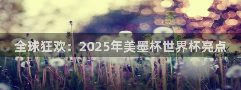 全球狂欢：2025年美墨杯世界杯亮点