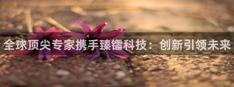全球顶尖专家携手臻镭科技：创新引领未来