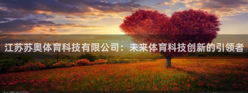 江苏苏奥体育科技有限公司：未来体育科技创新的引领者