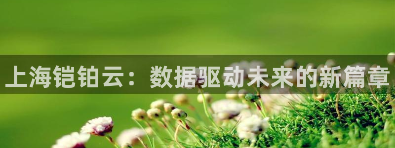 上海铠铂云：数据驱动未来的新篇章