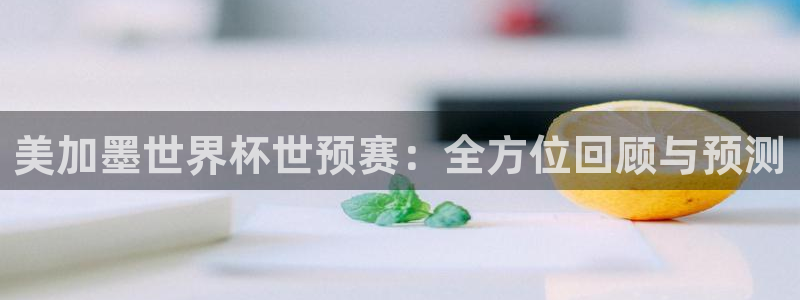 美加墨世界杯世预赛：全方位回顾与预测