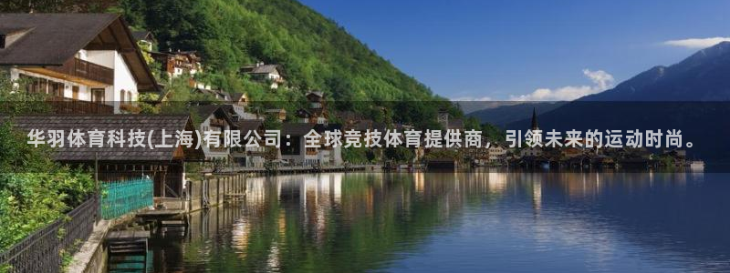 华羽体育科技(上海)有限公司：全球竞技体育提供商，引领未来的运动时尚。