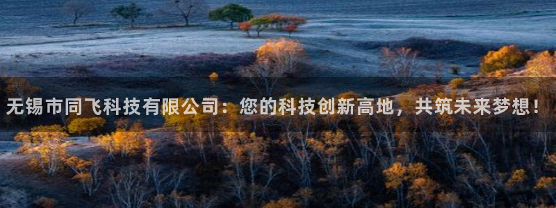 无锡市同飞科技有限公司：您的科技创新高地，共筑未来梦想！