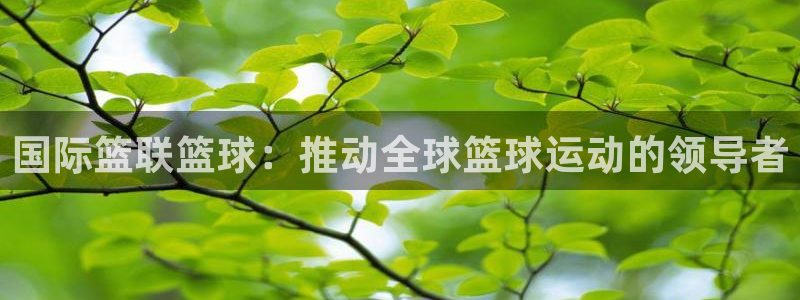 国际篮联篮球：推动全球篮球运动的领导者